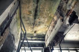 Best Comprehensive Air Testing for Mold Contaminants  in Perry, LA